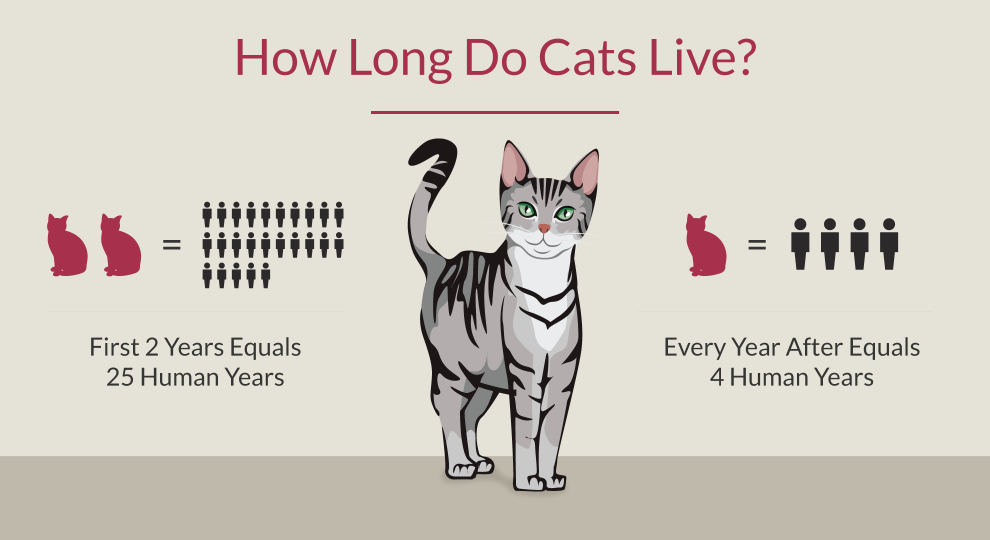 How Many Human Years Do Cats Live Cats World Club