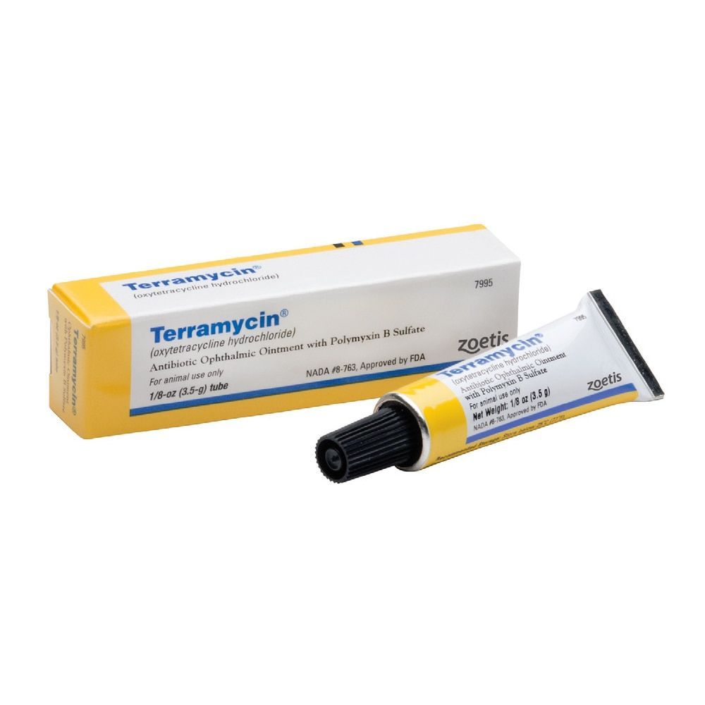 Terramycin Opthalmic Dog/ Cat Ointment