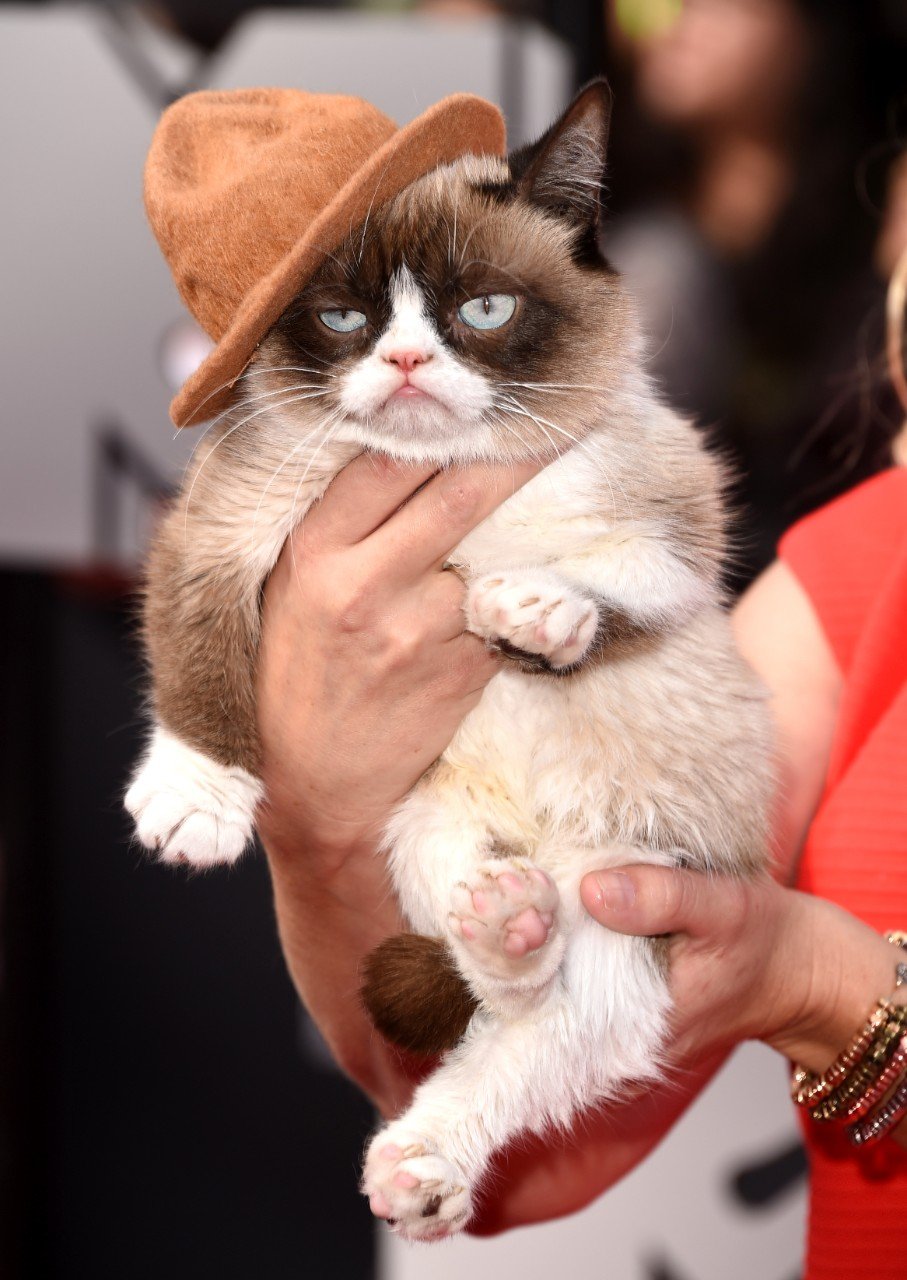 What Grumpy Cat is worth: Did Tabatha Bundesen