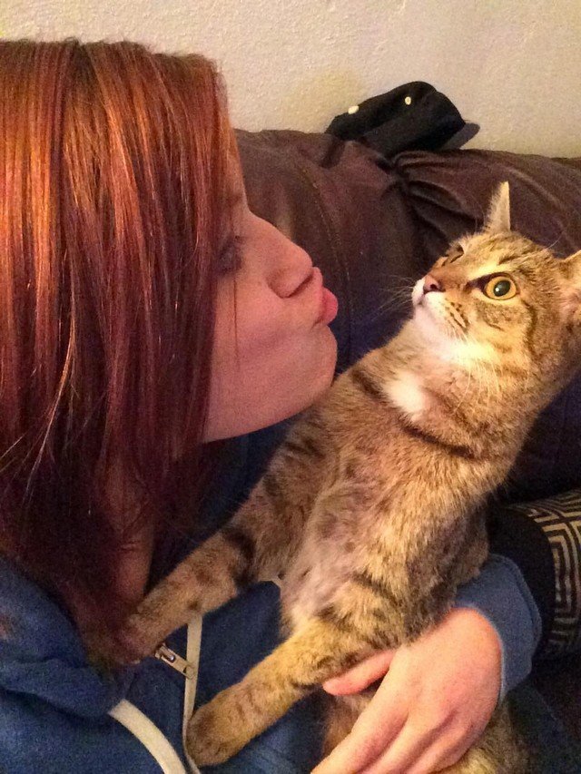 12 Cats Giving Us the "Put Me Down" Face