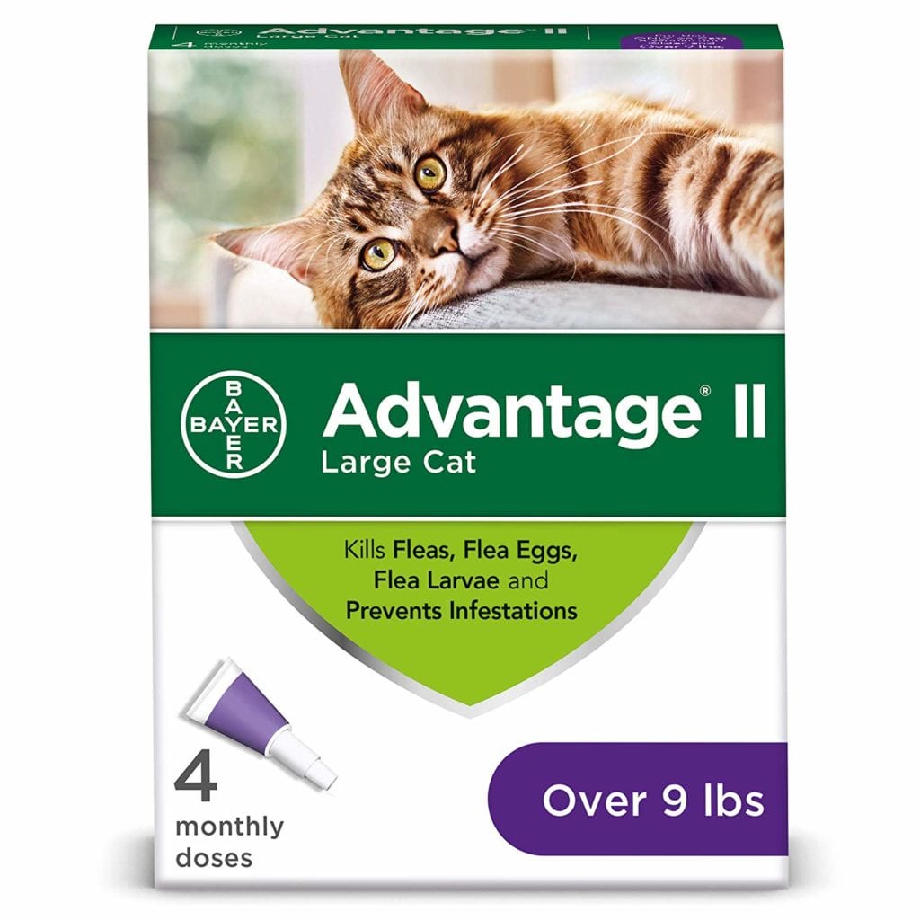 9 Best Flea and Tick Treatment for Cats