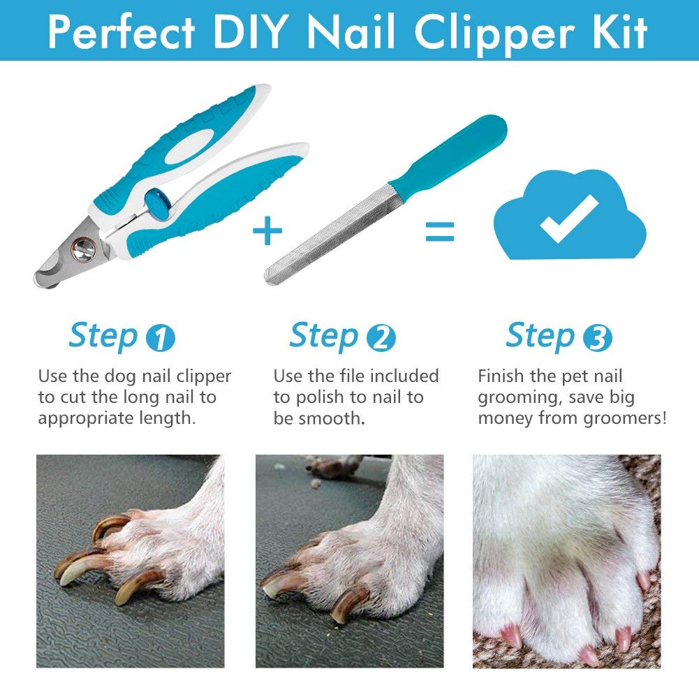 Can You Use Cat Nail Clippers On A Dog
