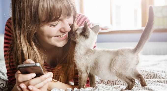 Cat Dandruff: What You Need To Know