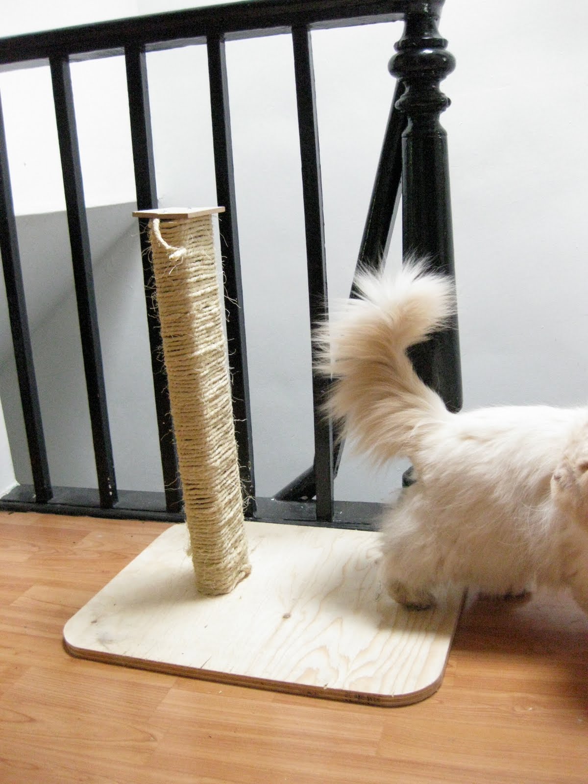 elaine ho: make your own cat scratching post