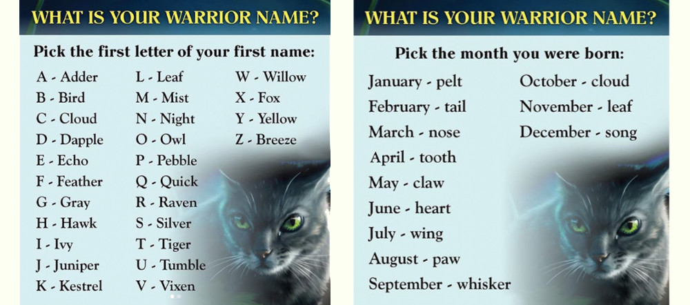 Find Out Your Warrior Name