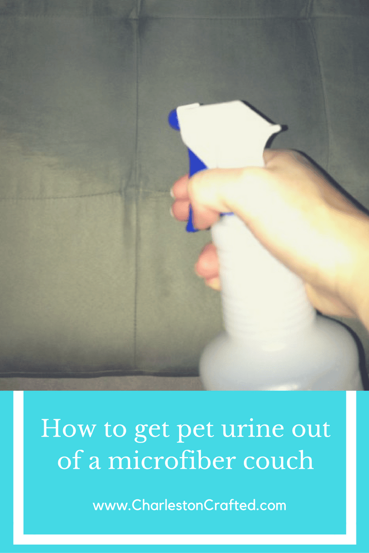 Getting Pet Urine Odor out of a Microfiber Couch ...