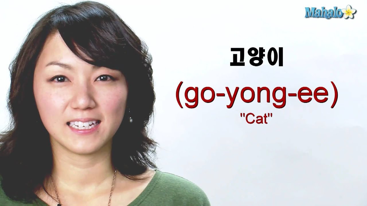 How to Say "Cat" in Korean