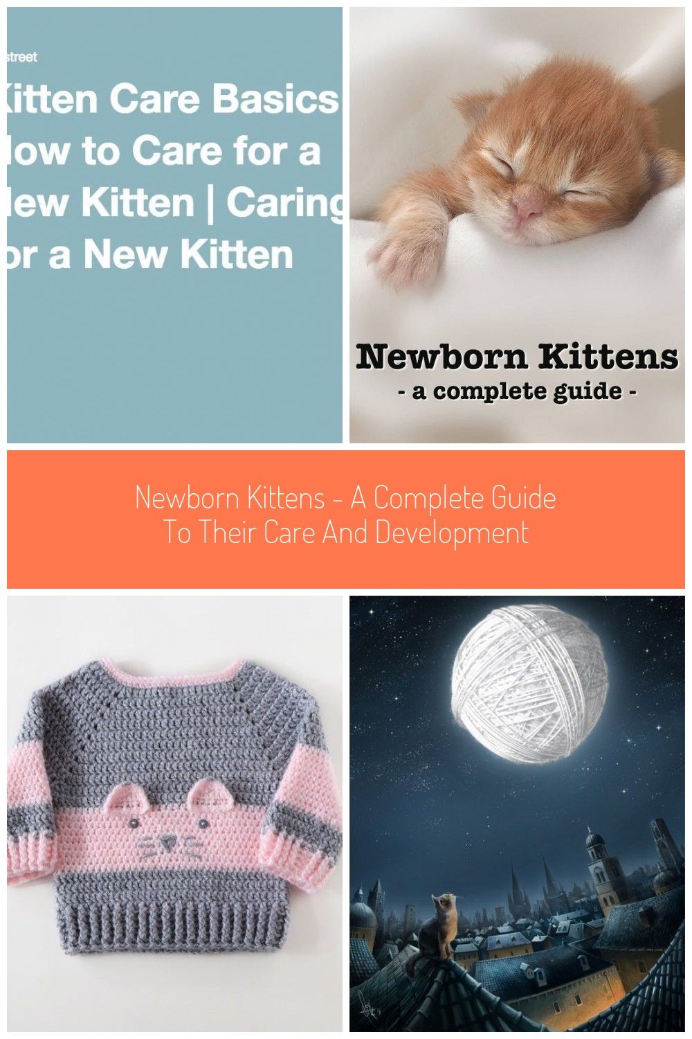 Kitten Care Basics How To Care For A New Kitten Caring For ...