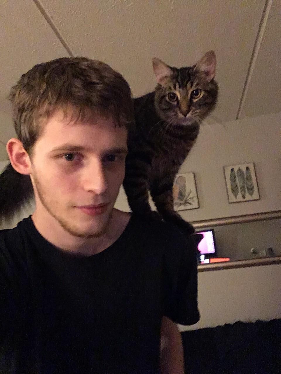My cat sits on my shoulder like a Parrot and lets me walk ...