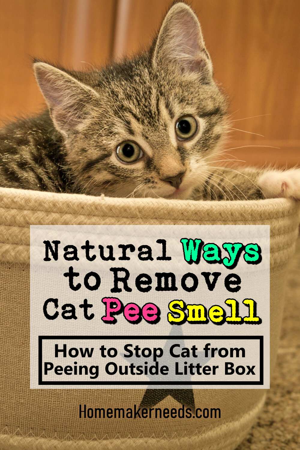 Natural Ways To Remove Cat Pee Smell! in 2020