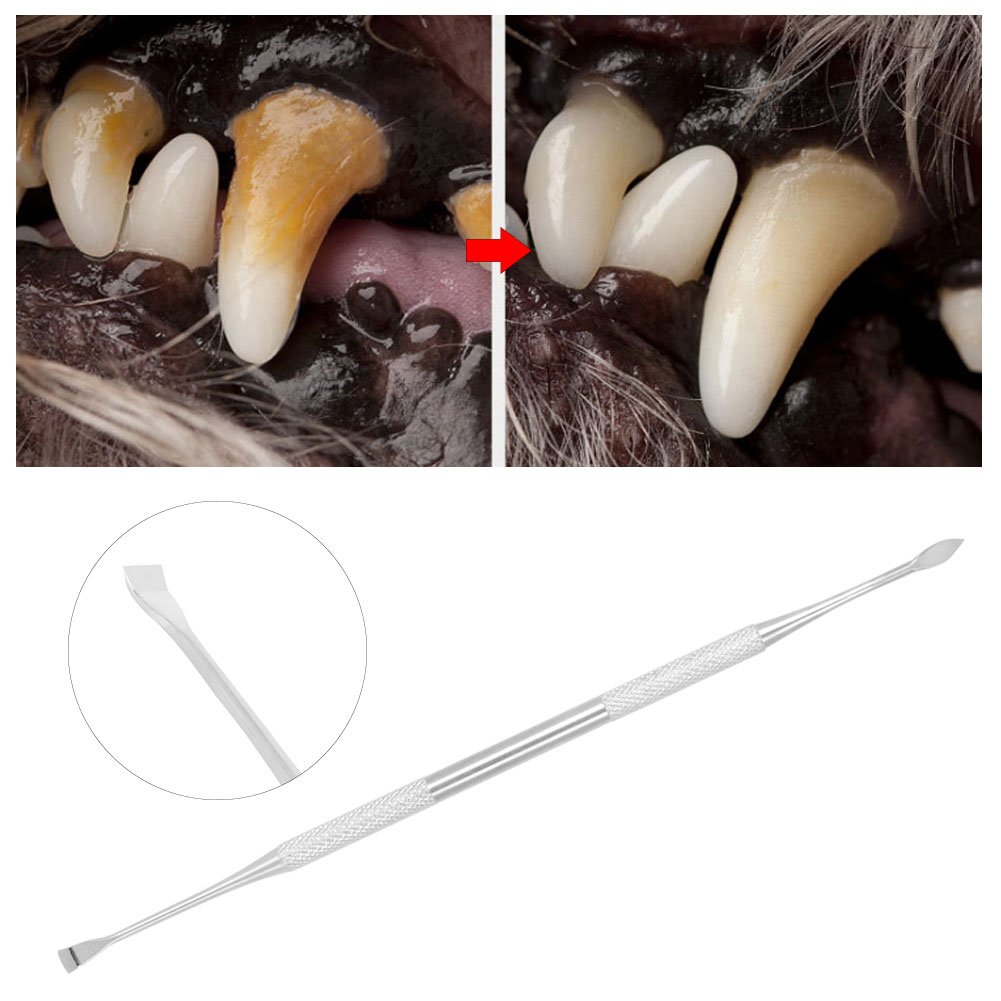 Pet Teeth Cleaning Double