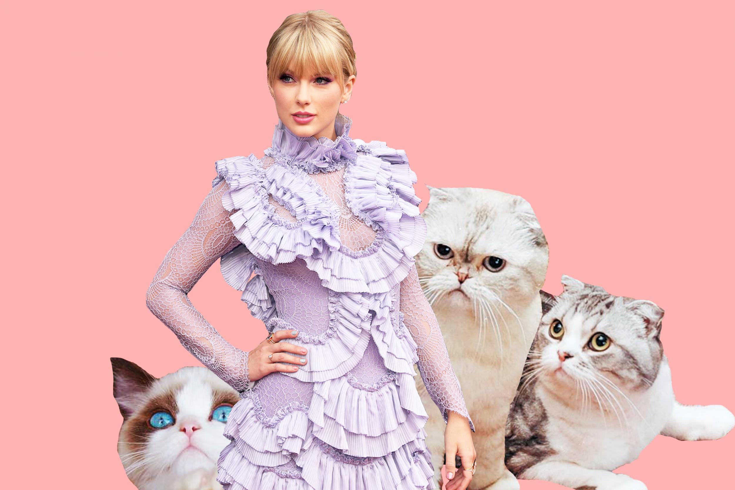 Taylor Swift catsâ names: How many cats does T Swift have ...