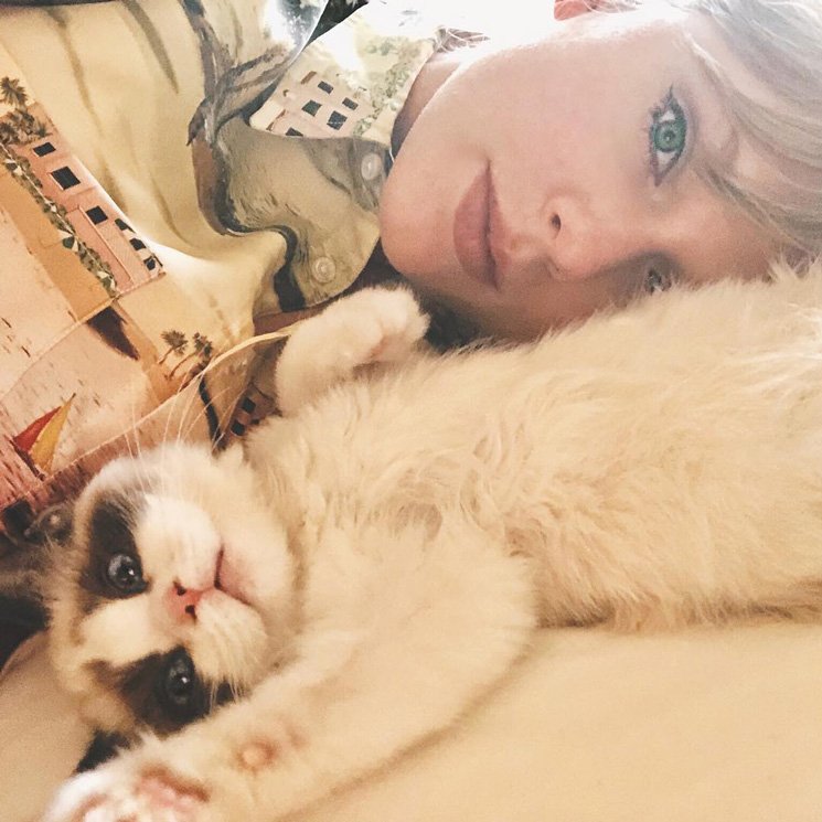 What are taylor swifts cats names, THAIPOLICEPLUS.COM