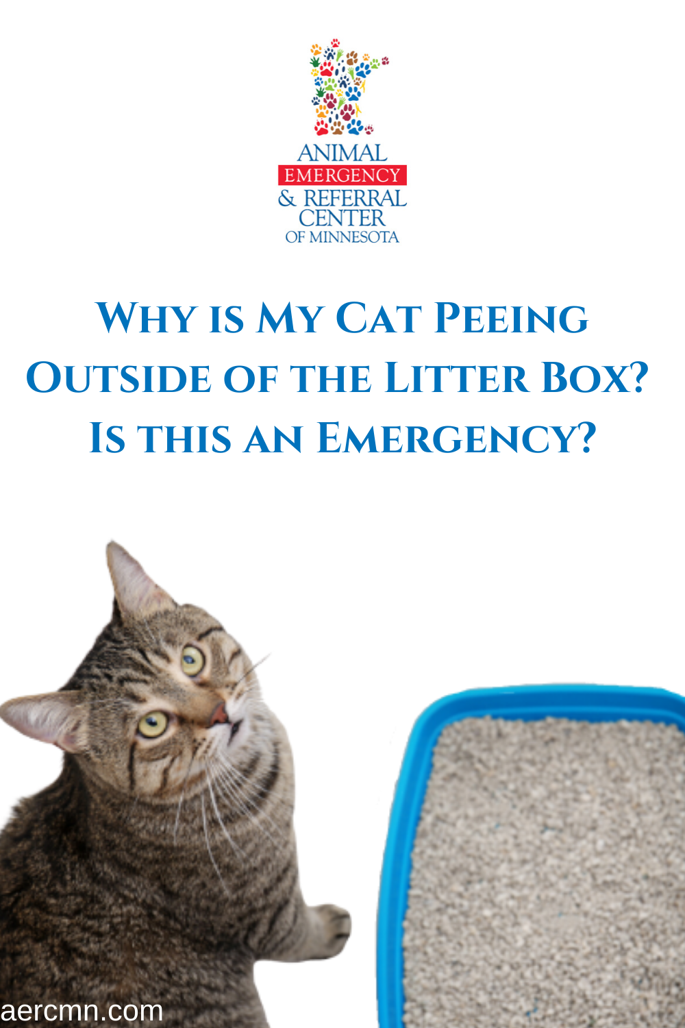Why is My Cat Peeing Outside of the Litter Box? Is this an ...