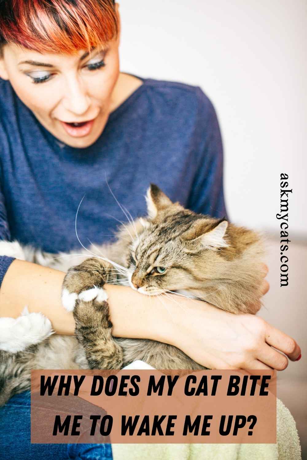 Why Does My Cat Bite Me When I Sleep? Is Your Pet Turning ...