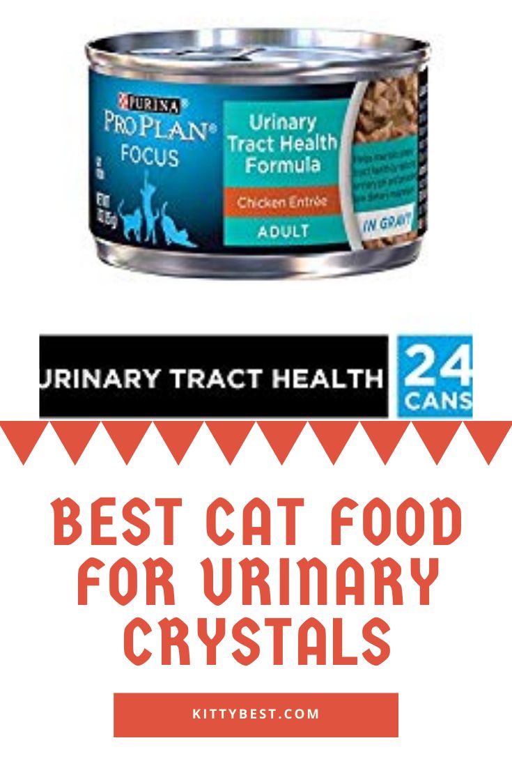 Best Cat Food For Urinary Crystals