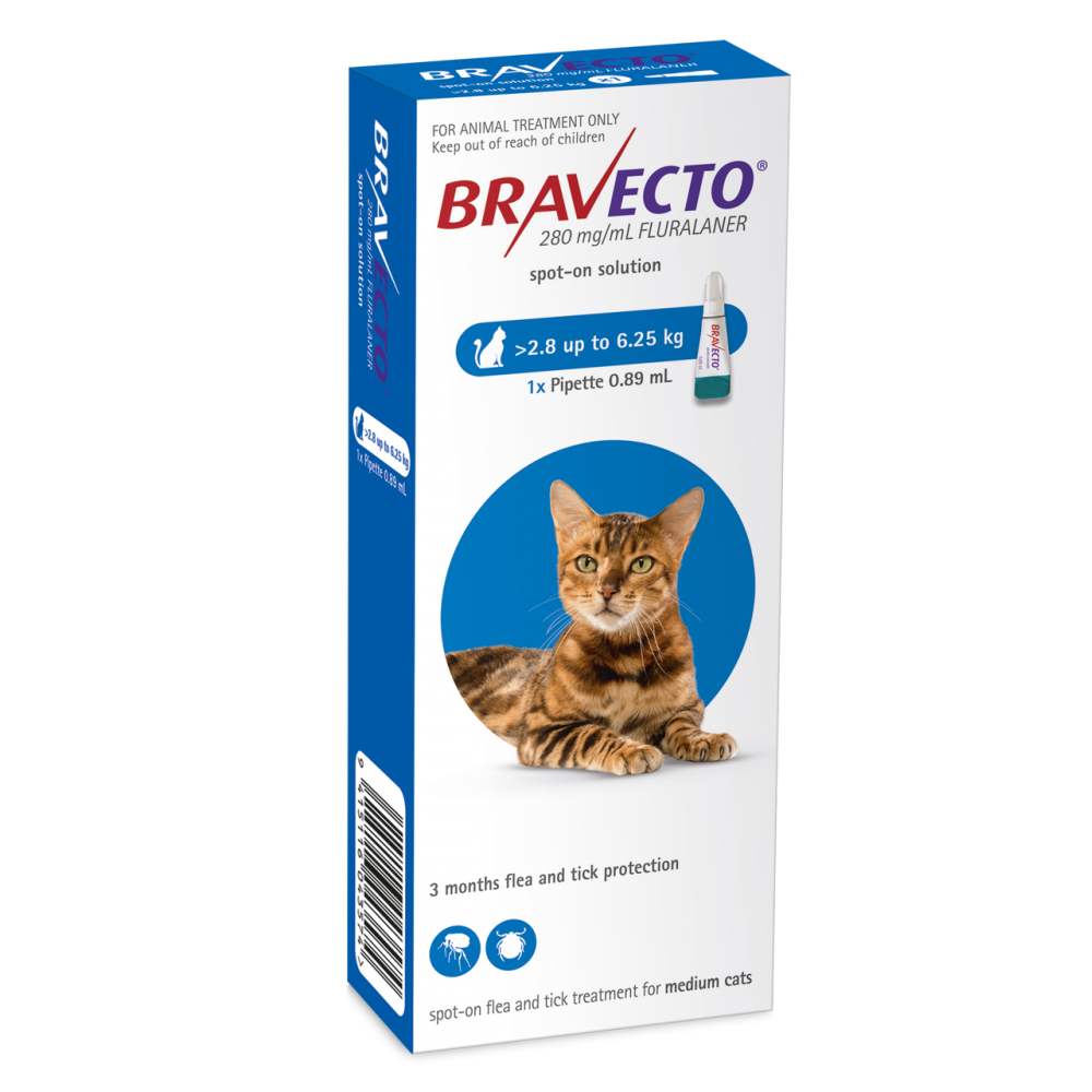 Bravecto Cat Flea Treatment Spot