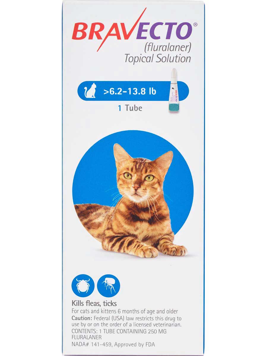Bravecto Flea and Tick Topical Solution for Cats Merck ...