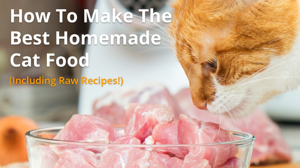 How To Make The Best Homemade Cat Food (Including Raw Diet ...