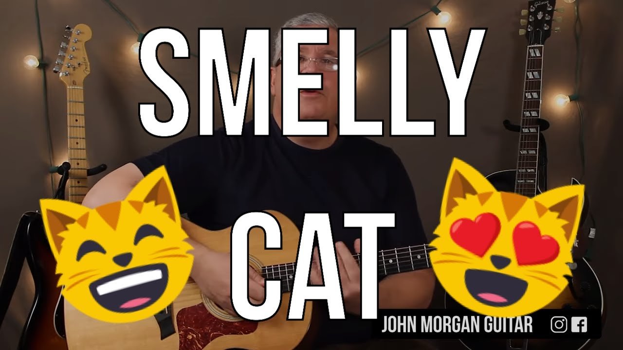 How to Play " Smelly Cat"  (Guitar)
