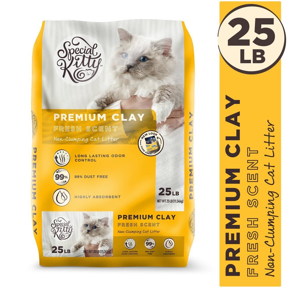 Special Kitty Premium Clay Cat Litter, Fresh Scent, 25 lb ...