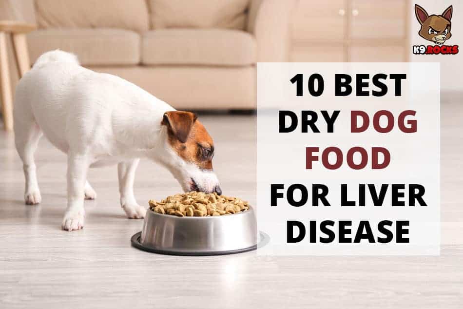 10 Best Dry Dog Food for Liver Disease