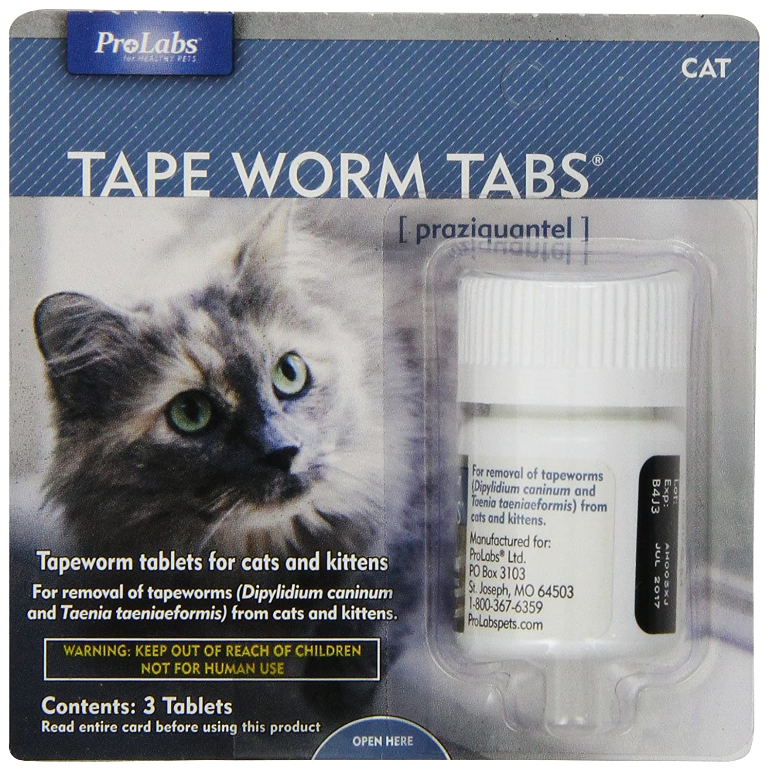 3 Best Over the Counter Cat Dewormer â You Need Right Now ...