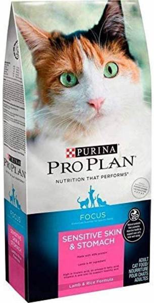 BEST 11 Cat Food for Older Cats with Teeth Problems + BONUS