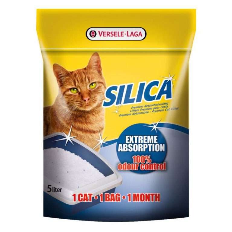 Buy Cat Litter Online in India at Best Prices