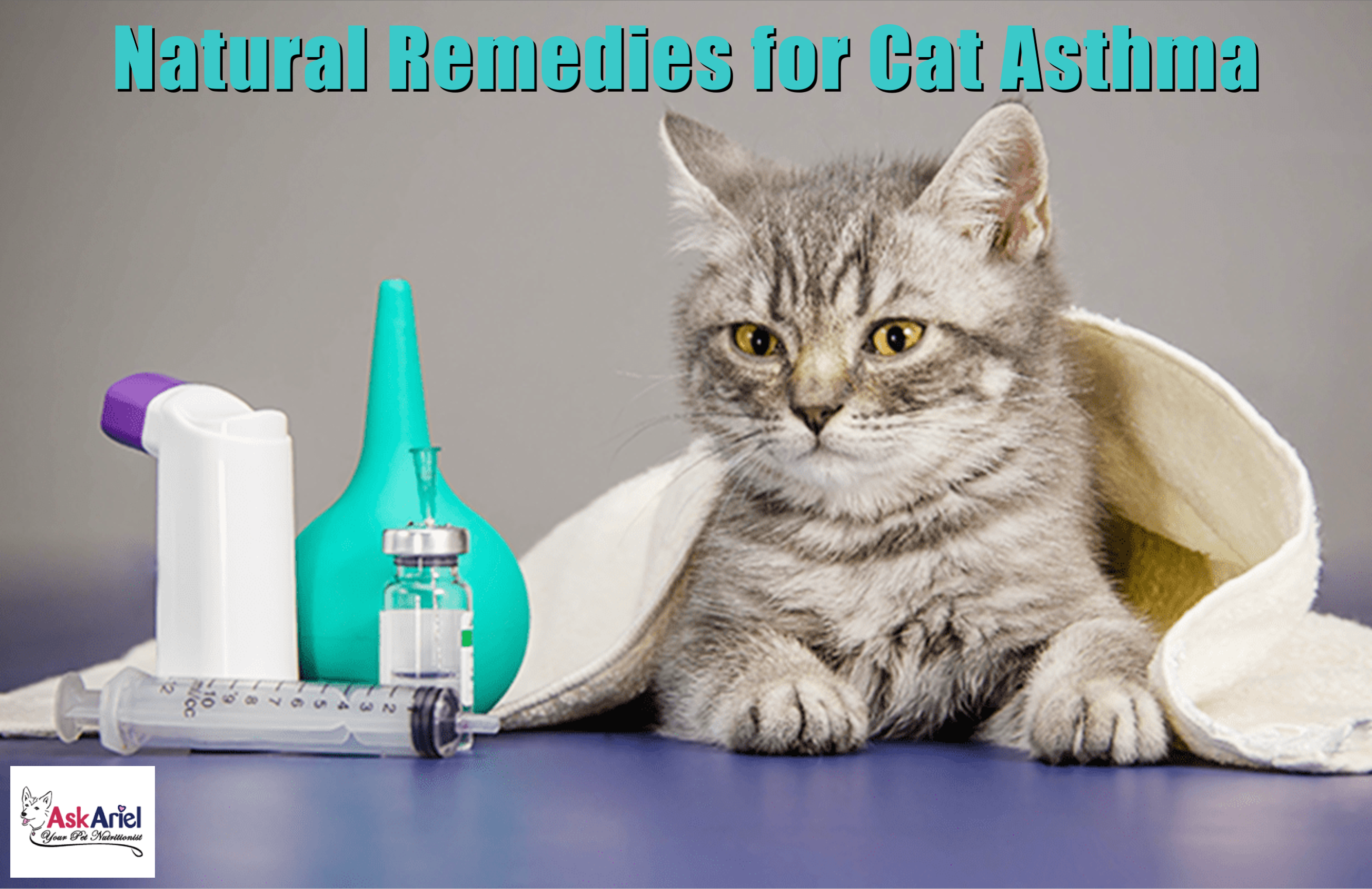 Can Cats Have Asthma?