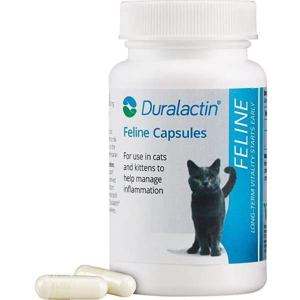 Duralactin Capsules for Cats