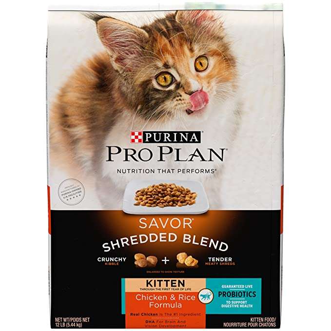 Guide to the Best Cat Food to Prevent Vomiting  PetSoFun