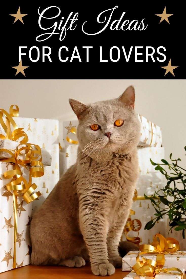 Purrfect Gift Ideas for Cat Lovers