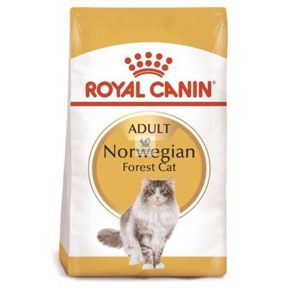 Royal Canin Norwegian Forest Cat 10 kg comida para gatos