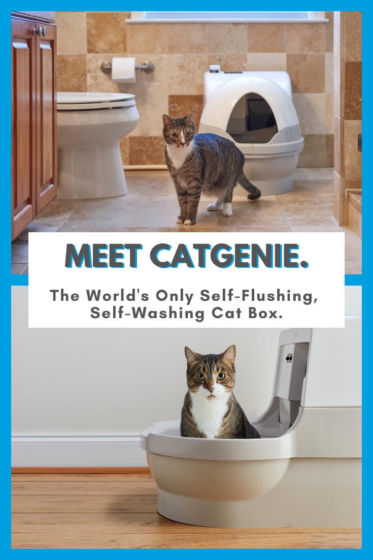  The CatGenie is the revolutionary cat box that all cat ...