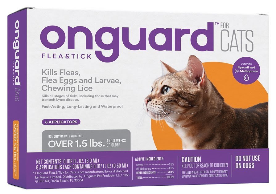 What Flea Treatment Can I Use On An 8 Week Old Kitten ...
