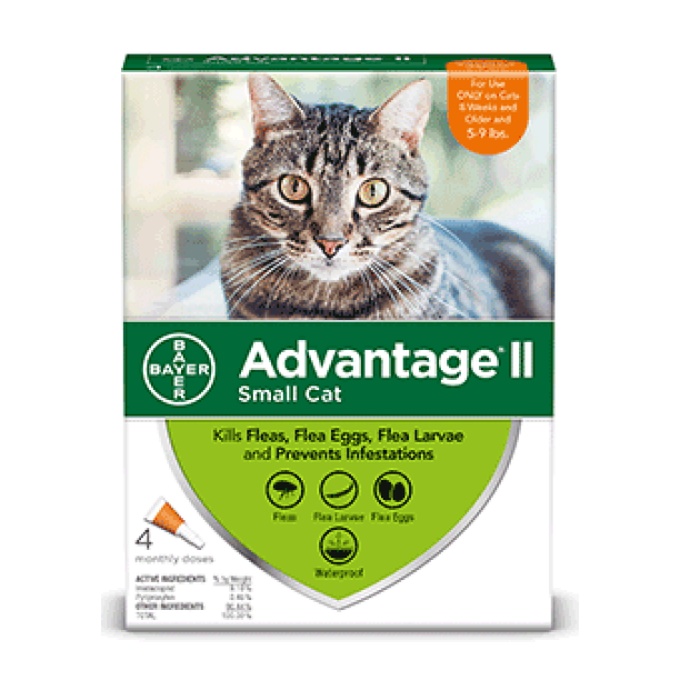 Advantage II Flea Prevention for Small Cats, 4 Monthly ...