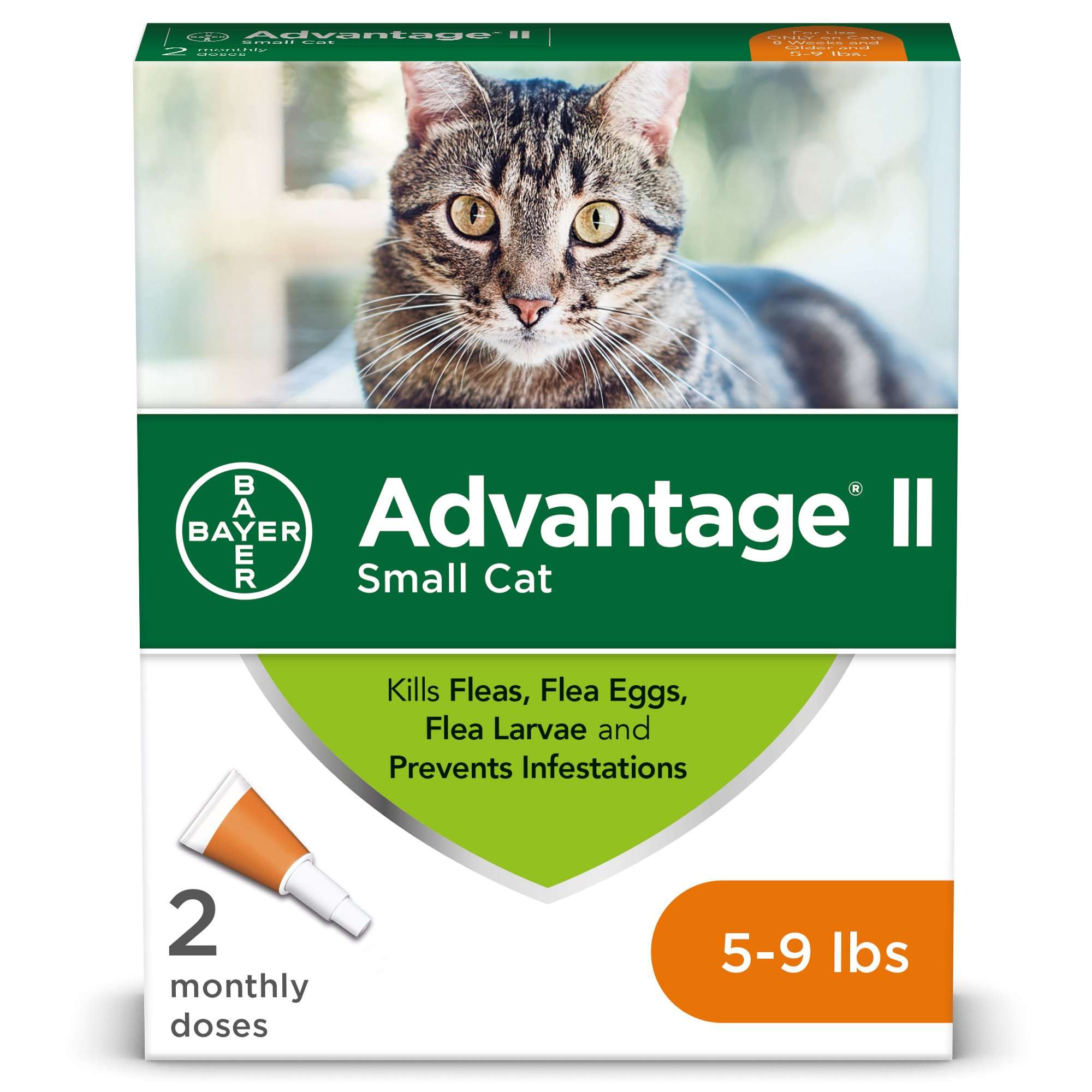 Advantage II Flea Treatment for Small Cats, 2 Monthly ...