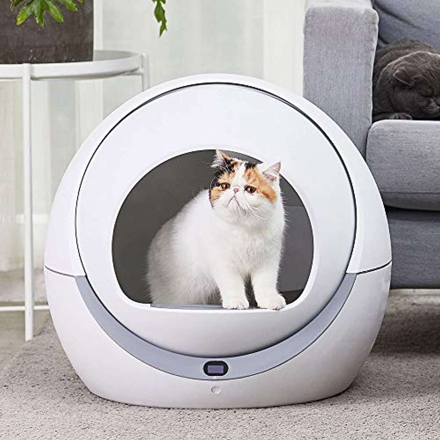 ASDJFHKJS Automatic cat Toilet Automatic cat Sandbox ...