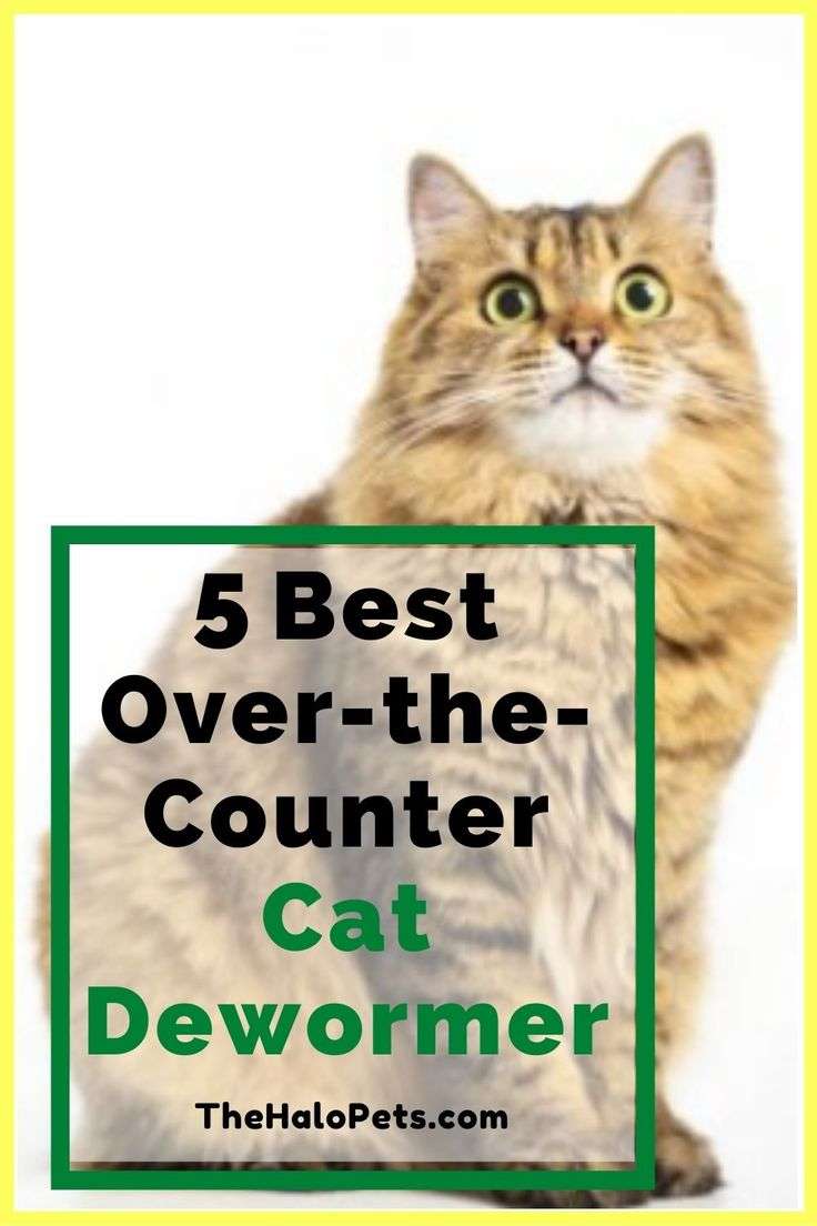 Best over the counter cat dewormer in 2020