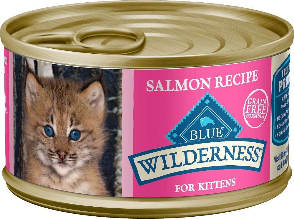 Blue Buffalo Wilderness Kitten Salmon Grain