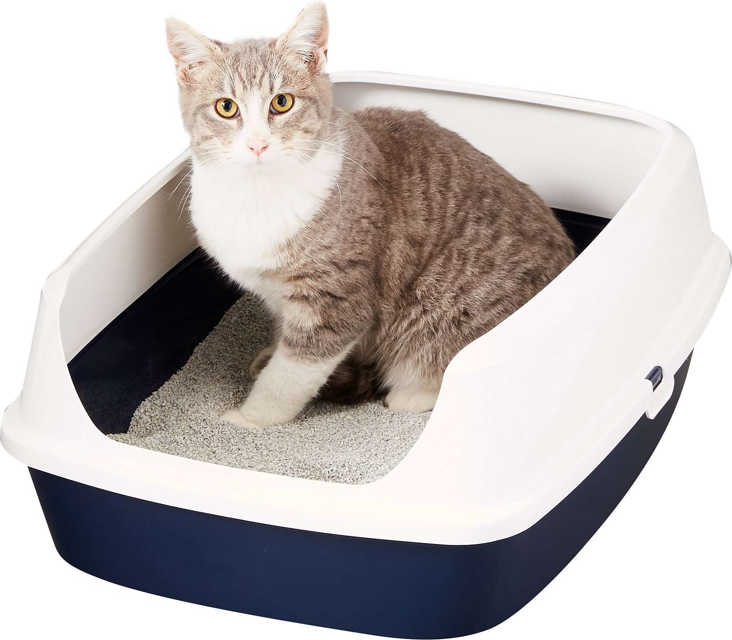 Frisco Open Top Cat Litter Box With Rim, Navy, Large 19