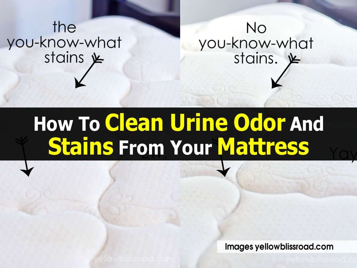 How To Clean Urine Odor And Stains From Your Mattress