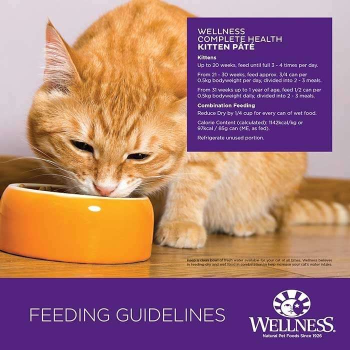 Wellness Formula Kitten Food 85gx24