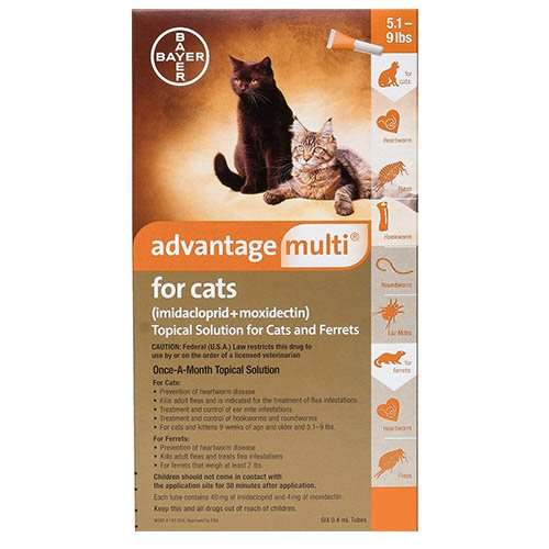 Advantage Multi (Advocate) for Cat