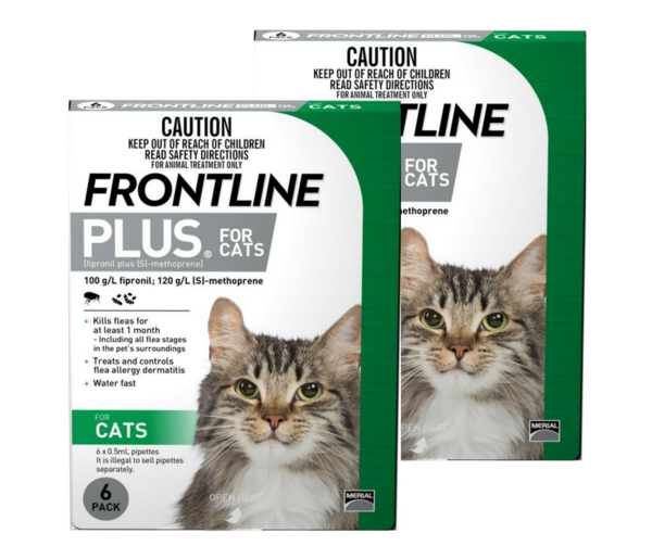 How Does Frontline Work On Cats