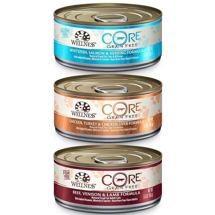 Wellness CORE Natural Canned Grain Free Wet Pate Cat Food ...