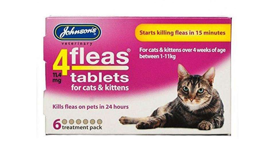 Best cat flea treatment: Keep your cat pest