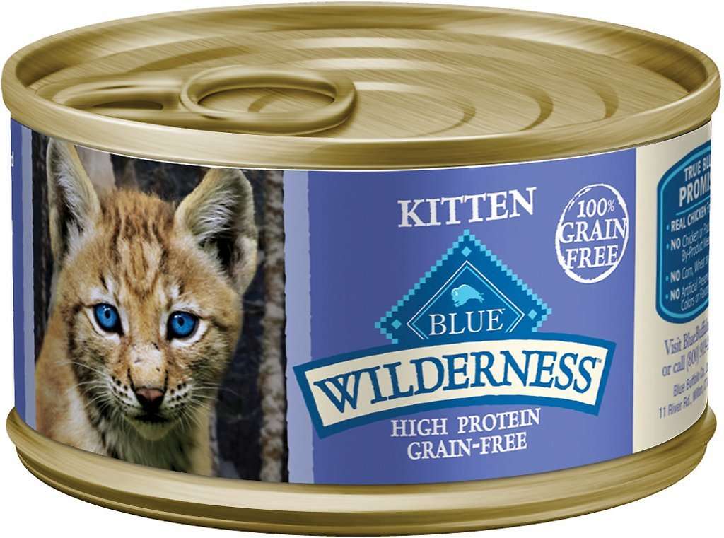Best High Calorie Cat Food for Weight Gain