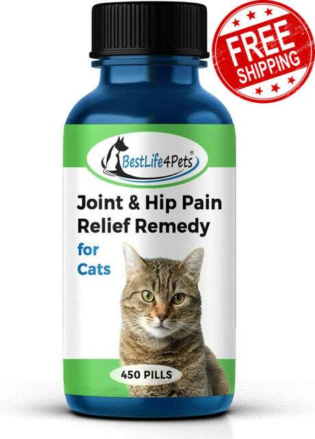 CAT JOINT &  ARTHRITIS PAIN RELIEF Powerful Anti